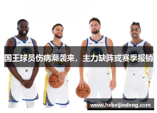 国王球员伤病潮袭来，主力缺阵或赛季报销