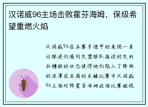汉诺威96主场击败霍芬海姆，保级希望重燃火焰